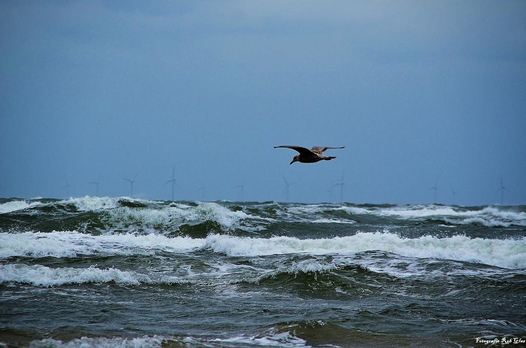 Ferienwohnung Torenlicht Egmond aan Zee Zimmer foto